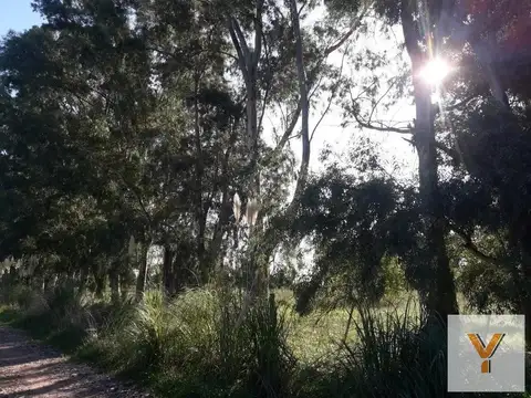 Terreno en Venta de 4000,0 m2