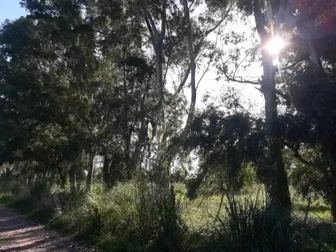 Terreno en Venta de 4000,0 m2