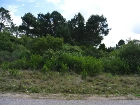LAGUNA DEL DIARIO