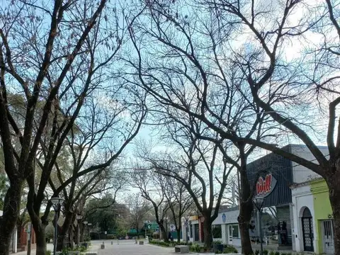 Local en Alquiler A Estrenar
