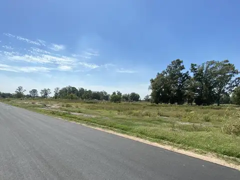 Terreno en Venta 50  mts Fondo