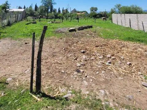 Lote 29, Mza A