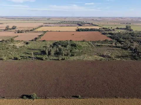 CAMPO EN GESSLER 2,5 HECTAREAS