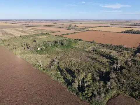 CAMPO EN GESSLER 2,5 HECTAREAS