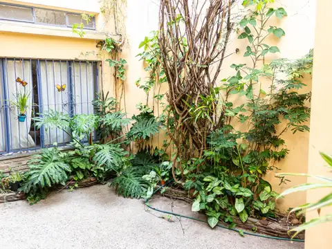 Venta PH 5 ambientes con espectacular terraza, en Parque Chas,. Excelente ubicación