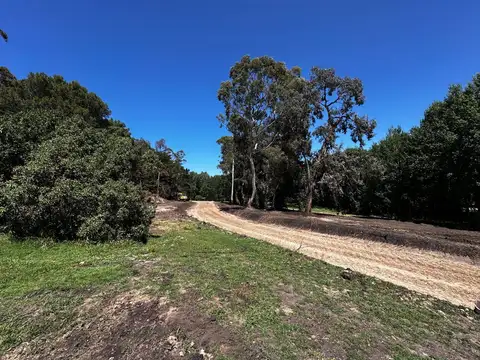 Lanzamiento exclusivo loteo en Chapadmalal 