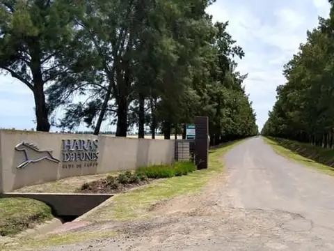 Haras De Funes