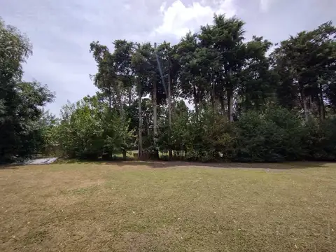 Terreno en Venta 20  mts Frente