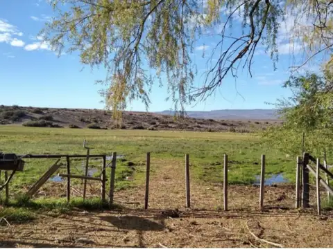 VENTA DE CAMPO, 19000 HA, PERITO MORENO