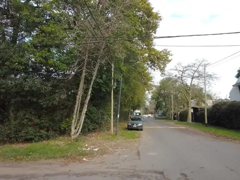 Lotes de terreno baldíos (Lotes 27 y 28)