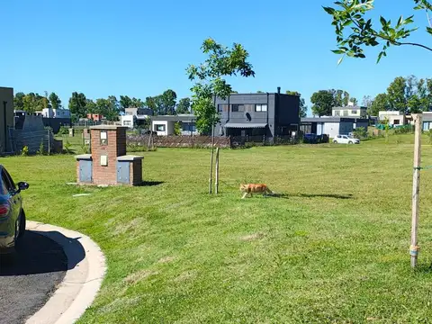 Venta de Terreno Amplio, Barrio Sta Elisa, 528mts