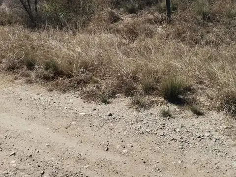 ruta n° 100