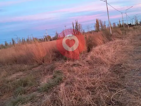 Terreno en Venta en Allen, $ 8.000.000