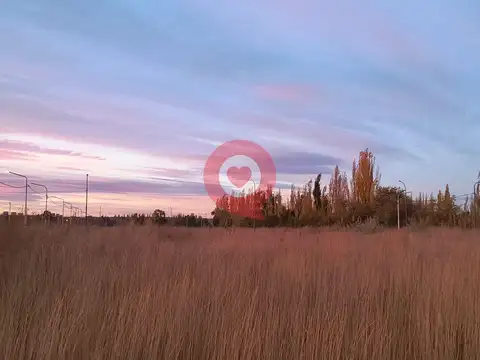 Loteo LA LUISA