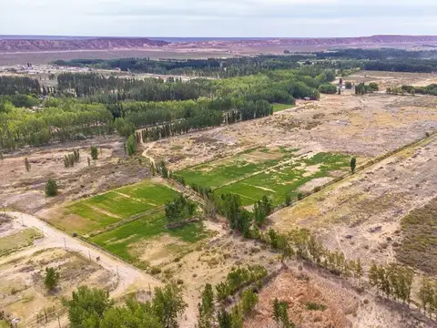 Terreno en Venta en Plottier, USD 800.000