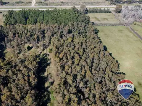 CAMPO EN VENTA SOBRE RUTA 6