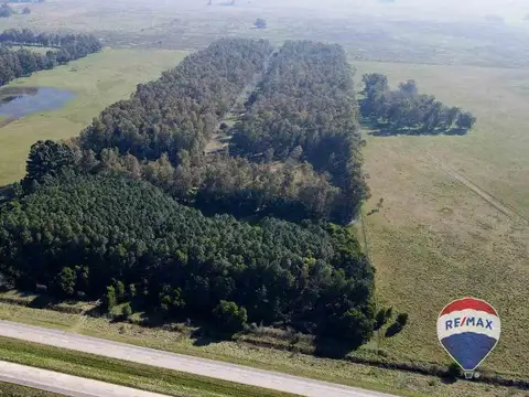 CAMPO EN VENTA SOBRE RUTA 6