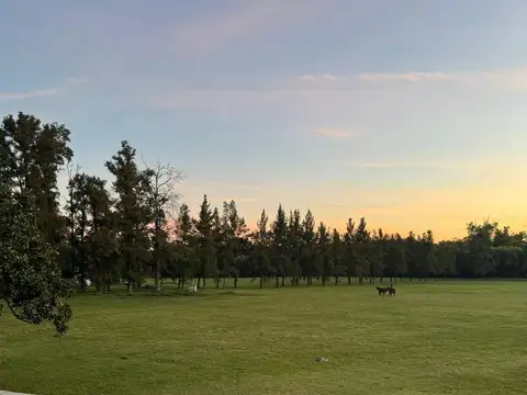 ruta 8 k41.100 al 41000