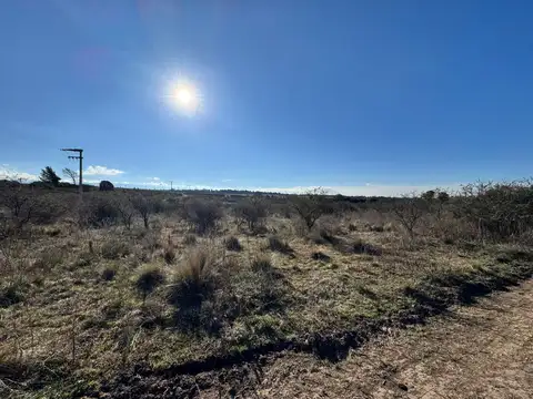 Camino provincial
