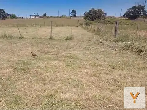 Terreno en venta - 599Mts2 - Chapadmalal