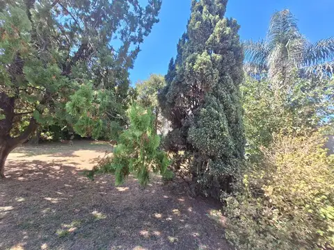 Terreno en Venta en Burzaco, USD 45.000