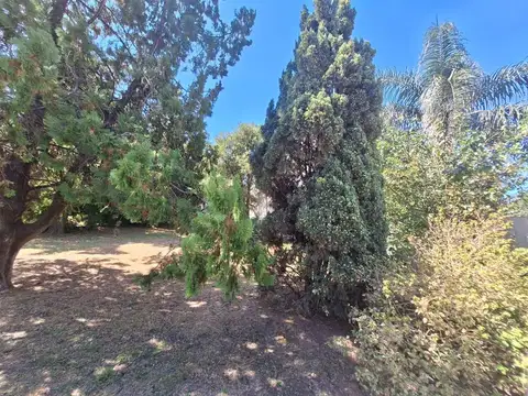 LOTE VENTA EN BURZACO METROS AVENIDA