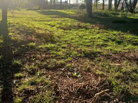 Terrenos y Lotes en venta en Olmos, Lisandro ,ap. sobre Calle 186 [Cod: 3]