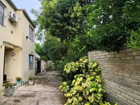 Juan Bautista Alberdi 300