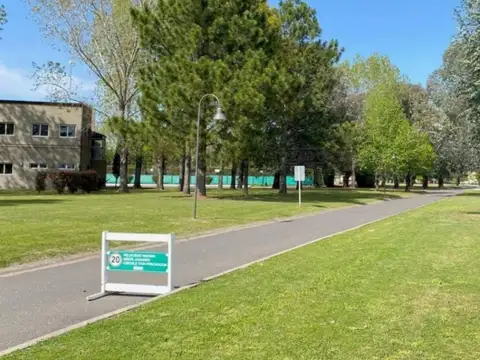 Carola Lorenzini 4900