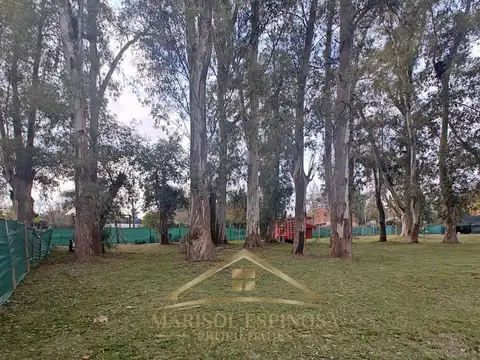 Terreno en Venta en Álvarez Del Bosque, USD 32.000