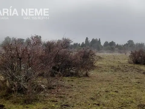Campo de 12 ha con casa  en el Manso - IDEAL PARA DESARROLLO