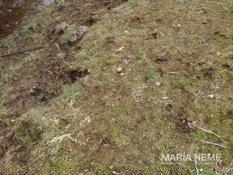EXCELENTE FRACCION EN EL MANSO - Campo - Paraíso de la Pesca
