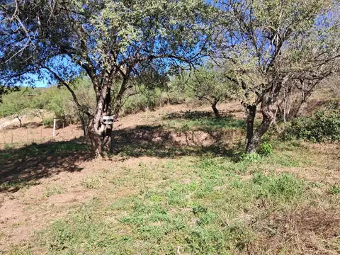 Terreno en Venta de 1733,0 m2