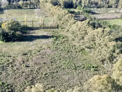 RUTA 192-CALLE EL PICAFLOR 100