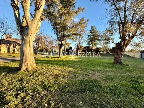 Andres Chazarreta 1100