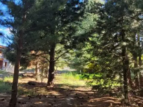 Avenida Los Tordillos 100