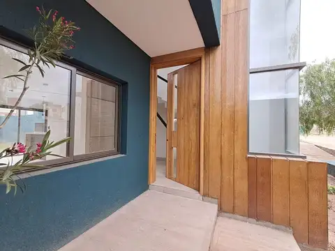 Doctor Cichitti 100