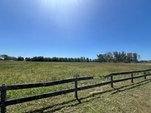Terreno en Venta de 17241,0 m2