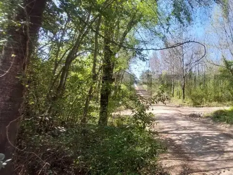 Terreno en Venta 30  mts Fondo
