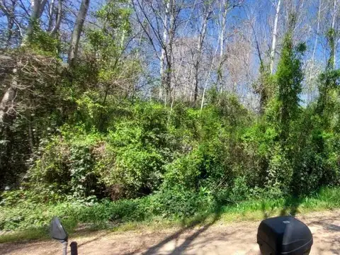 Terreno en Venta 20  mts Frente