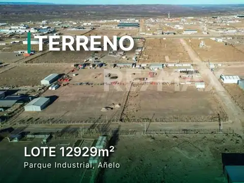 Alquiler terreno galpon parque industrial Añelo 