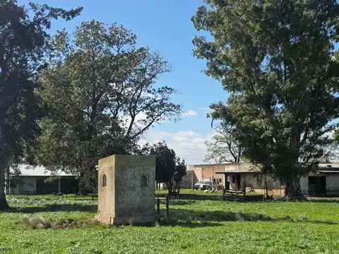 Provincia S/n
