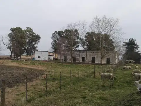 Provincia S/n