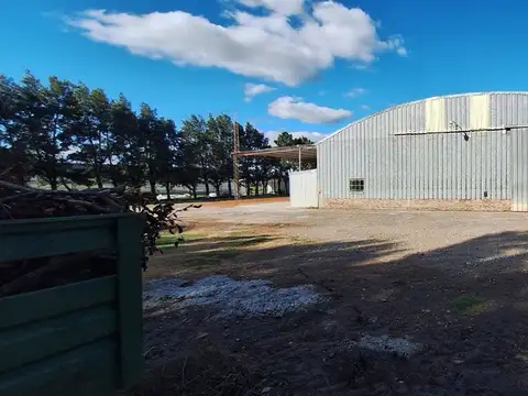 ALQUILER GALPON EN IBARLUCEA