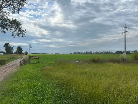 VENTA CAMPO AGRICOLA 28 HA FIRMAT