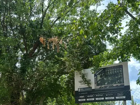 Loteo con acceso restringido por portón en Del Viso