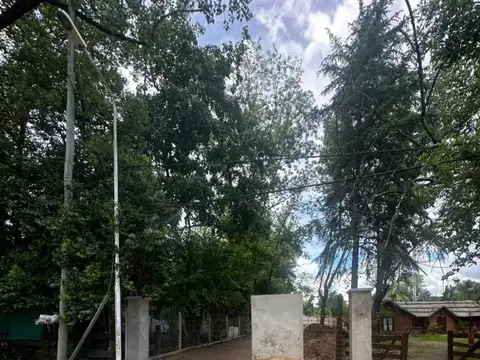 Pinazo Chico, Jorge Isaacs 2600
