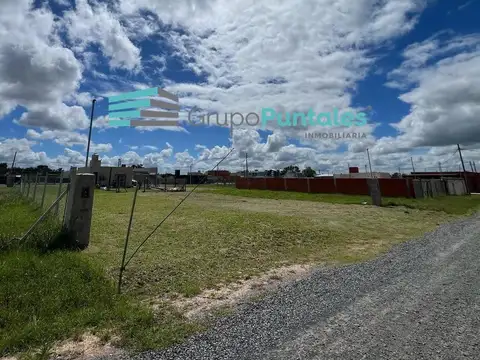 Terreno en Venta 25  mts Fondo