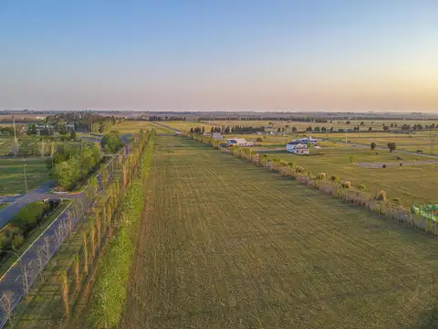 Terreno en Venta 41  mts Fondo