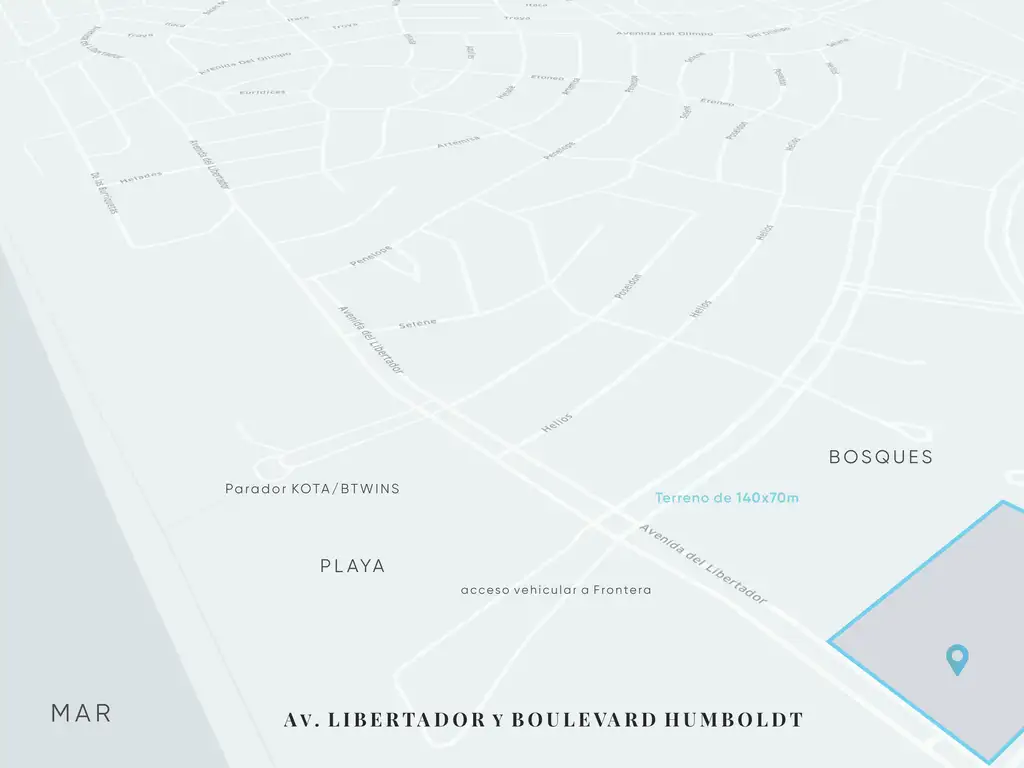 Btwins Norte - Entrega Enero 2025